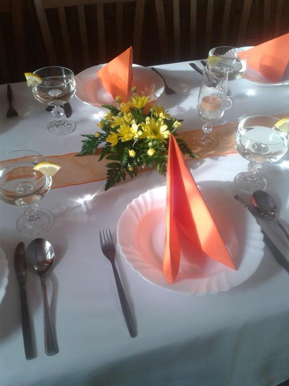 Pension U Stepanku Trpisovice エクステリア 写真